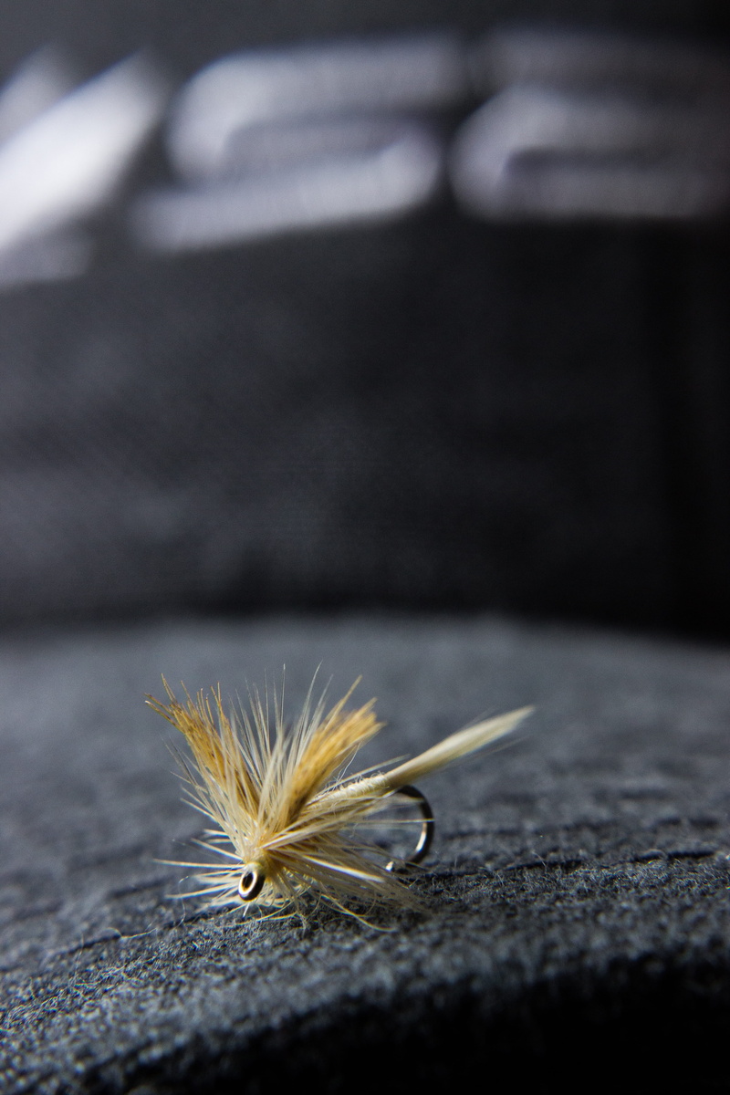 small, vulnerability, plant, united states, nature, fly tying, colorado springs, hat, close-up, no people, selective focus, beauty in nature, indoors, 5K