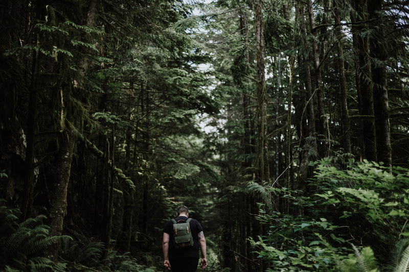 lush foliage, vintum, walking, land, trees, inside, wanderlust, person, foliage, solitude, stroll, rainforest, outdoors, adventure, 5K, lifestyles, alone