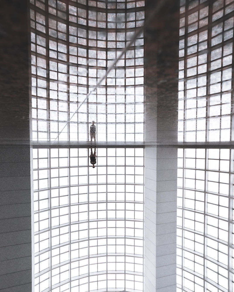 high, grid, full frame, ceiling, concrete, animals in the wild, design, inside, person, animal themes, 4K, architecture, texture, stand, directly below