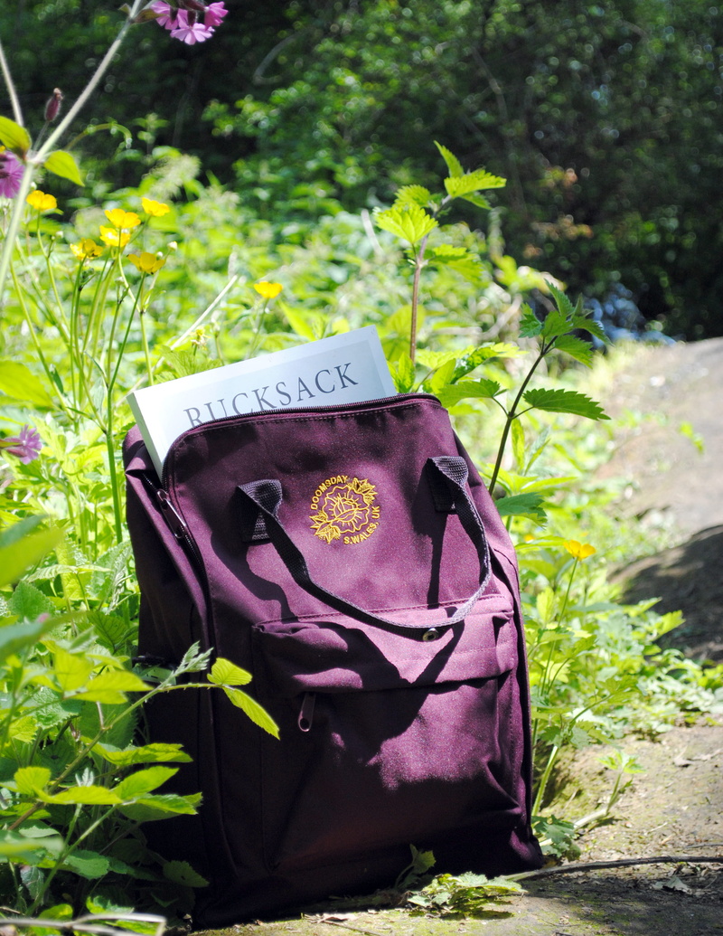outdoor, leaf, text, sun, pink color, front or back yard, 2K, communication, vase, close-up, no people, potted plant, personal accessory, land, backpack