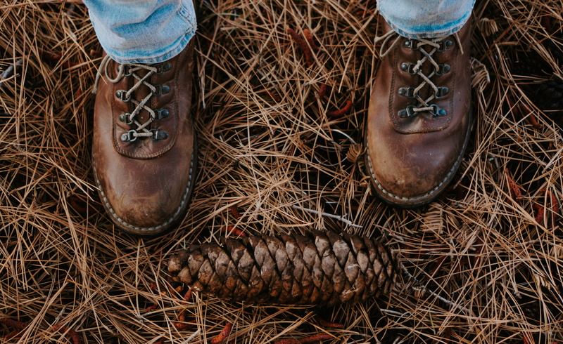 human leg, body part, leather, day, high angle view, field, person, winter, evergreen, boot, brown, outdoor, human foot, hiking, explore, nature, gift