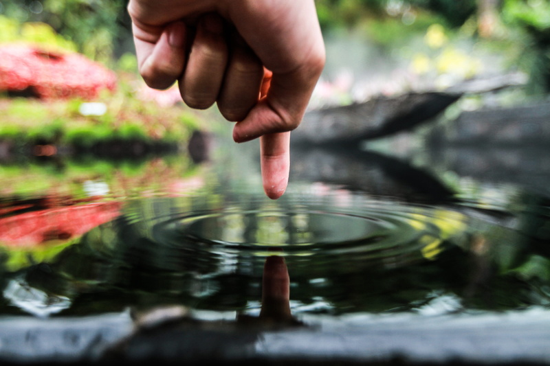 lake, one person, human body part, 5K, human hand, waterfront, outdoors, nature, body, holding, poking, hand, finger, day, purity, person, motion, human finger