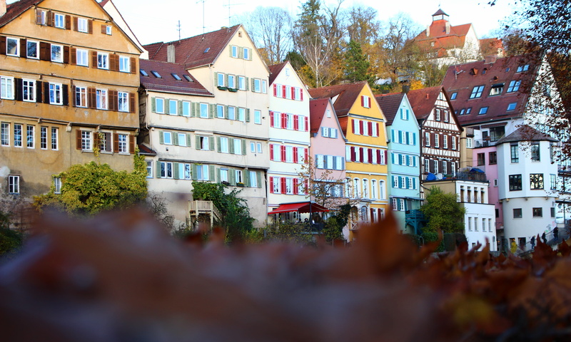 river, baden württemberg, mirroring, castle, architecture, old house, homes, tree, travel, truss, built structure, sunlight, row house, town, Old Town