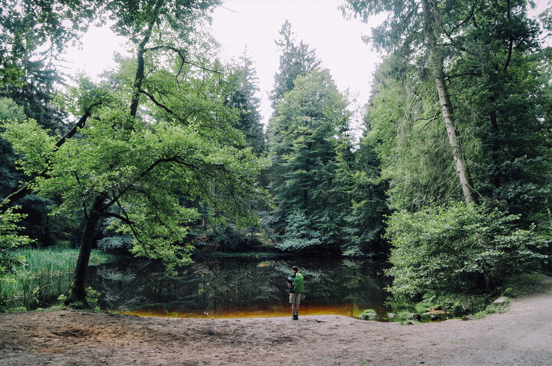 fir, 4K, person, outdoors, hike, cliff, backpacker, conifer, backpack, day, reflect, tranquility, water, plant, scenics - nature, abies, trail, trees