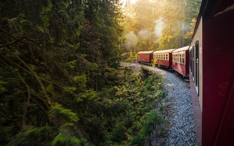 railroad car, plant, black, train, motion, public transportation, tree, rail transportation, railroad track, train - vehicle, 2K, outdoors, day, trailer