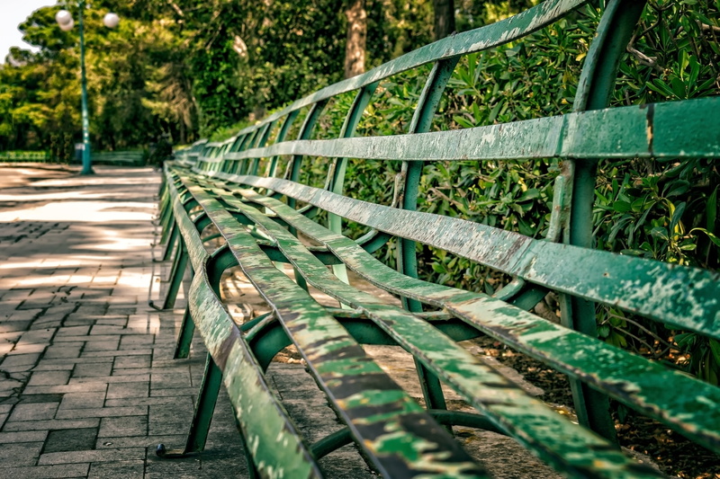 growth, relax, park, 5K, tree, vacant, park - man made space, click, the way forward, long, metal, out, benches, bench, outdoors, seat, nature, railing