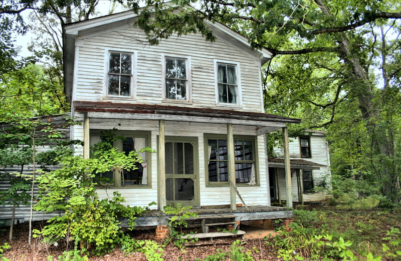 day, spooky, grungy, forest, house, tree, nature, plant, architecture, window, vacant, history, aged, white, empty, 2K, built structure, growth, no people