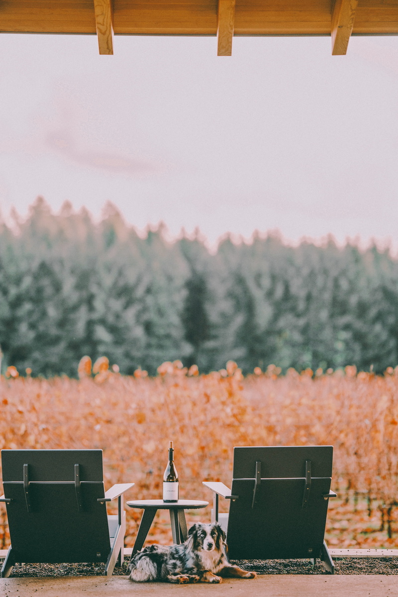 vacant, land, absence, chair, focus on foreground, day, two, sky, beauty in nature, seat, mountain, 4K, tree, technology, scenics - nature, freshness