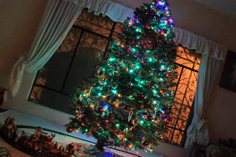 celebration event, lighting equipment, 4K, christmas decoration, indoors, christmas lights, decoration, no people, home interior, lights, plant, christmas