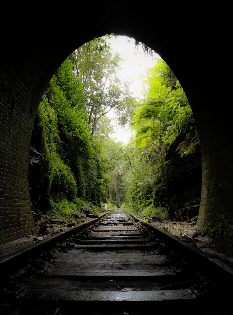 the way forward, train tracks, haunted, day, plant, ghost, earth, transportation, 4K, history, gloomy, abandoned trainstation, diminishing perspective