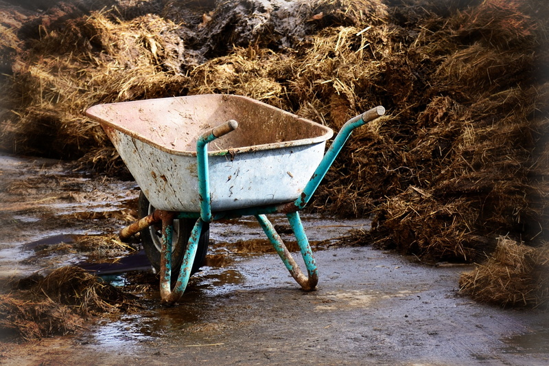 old, obsolete, no people, day, wheel, equipment, cart, dirt, seat, bauer, transportation, dirty, straw, work, sunlight, land, gardening, transport, plant