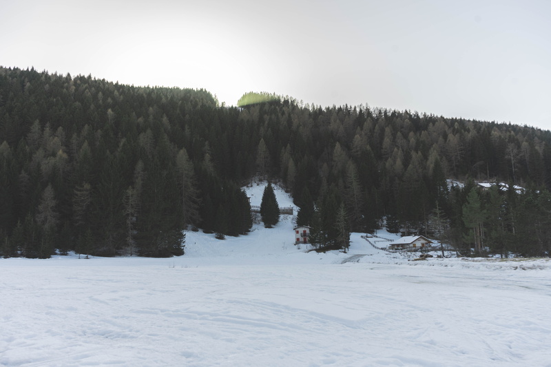 nature, spruce, green, land, fir, pollen, growth, white color, tranquility, tree, non-urban scene, piste, daytime, plant, sky, slope, coniferous tree, pine