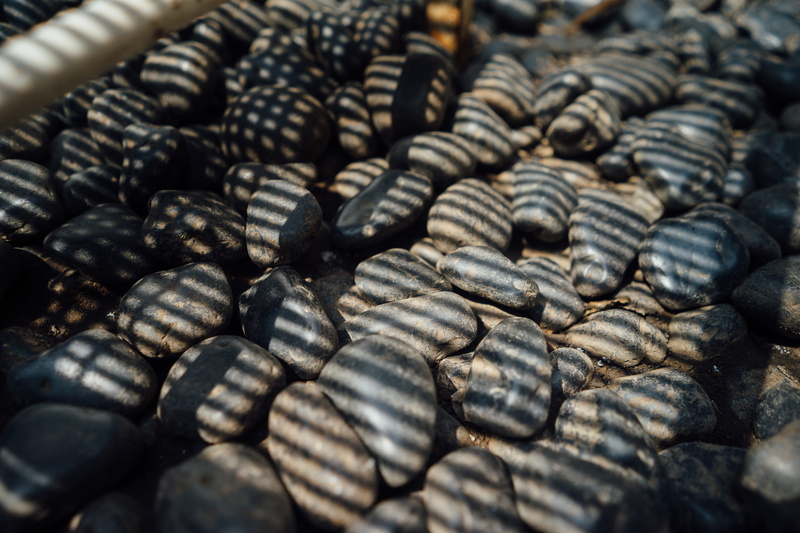 4K, freshness, nature, sonya7, food and drink, light, sony, selective focus, natural, source, backgrounds, macro, sunrise, pebble, shadow, animal, stone