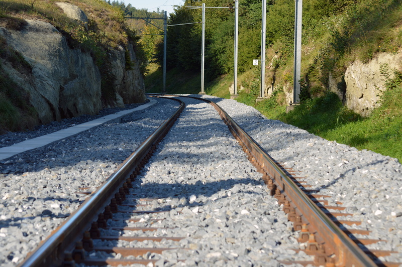 no people, rail traffic, stones, rail transportation, track, connection, plant, track bed, transport, 5K, outdoors, sunlight, direction, nature, tree