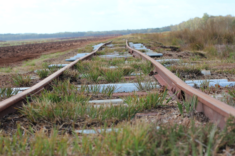 Track, seemed, rail transportation, diminishing perspective, surface level, direction, railroad Track, day, 5K, field, endless, plant, transportation