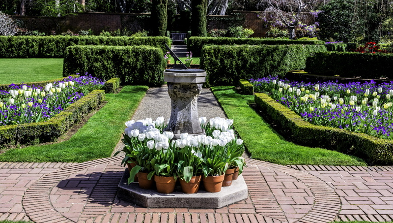 hedge, white, 2K, grass, beauty in nature, formal garden, CA, flowers, garden, pots, fountain, park - man made space, water, flowerbed, nature, outdoors