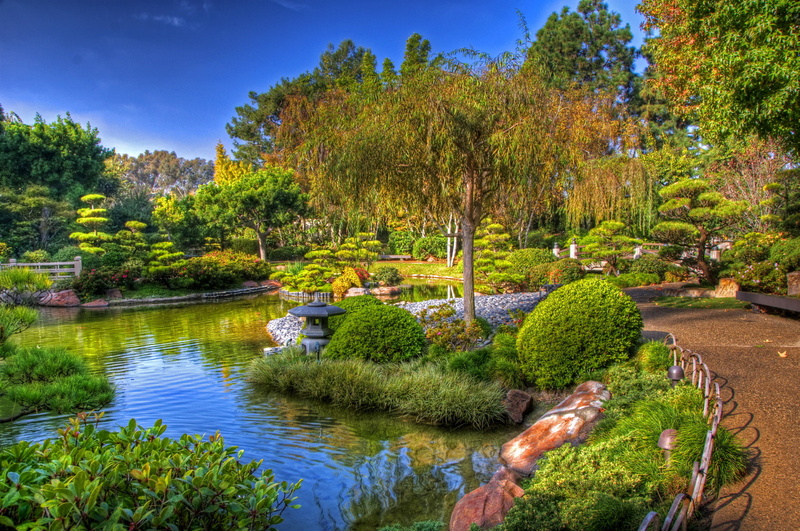 garden, trees, track, USA, the bushes, beds, 1080P, California, pond, Earl Burns Miller Japanese