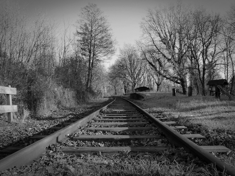 seemed, railroad tracks, sky, rail transportation, threshold, the way forward, tranquility, vanishing point, outdoors, land, railroad Track, black And White