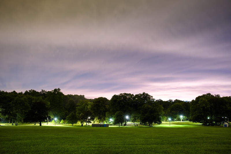 environment, nature, night, growth, no people, 5K, tree, moving, green color, slow, united states, scenics - nature, polls, new jersey, cloudes, park