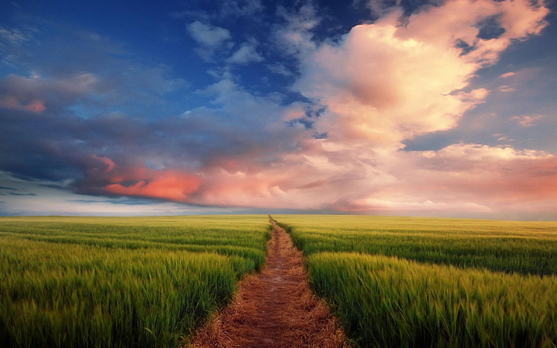 beauty, sunset, colorful, somewhere, grass, landsca, road, clouds, peaceful, splendor, meadow, field, beautiful, 1080P