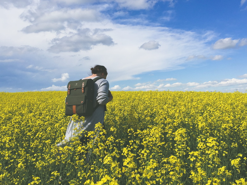 sunny, real people, sky, rear view, oilseed rape, space, environment, outdoors, field, rural scene, beauty in nature, nature, wander, explore, yellow, 2K