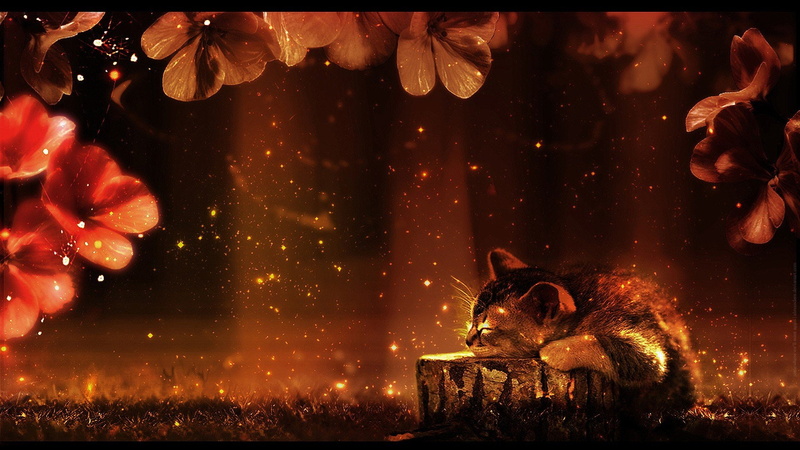 cgi, 1080P, colors, Somewhere, love, Well