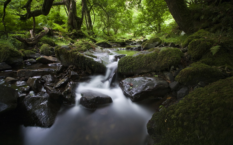 outdoors, scenics - nature, pentax, land, sigma10‑20mmf/4‑5.6exdc, green, no people, day, plant, green color, motion, england, rock - object, rock, pentaxk‑7