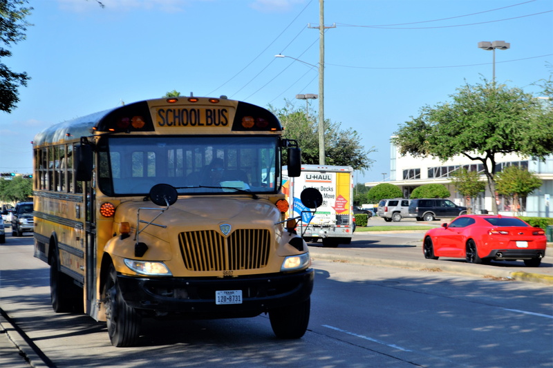 transport, texas, car, school buses, america, state, city, 4K, western script, outdoors, elementary, students, road, tree, children, architecture, sky