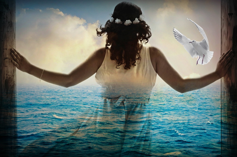 sleeveless, dove, outdoors, adult, sky, girl, body, surreal, digital composite, peaceful, swimming pool, front view, women, mood, fronting, seagull, young adult