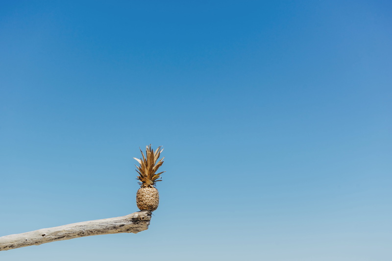 bird, art, low angle view, minimalism, 5K, summer, pineapple, golden, wood, painted, nature, animal themes, animal wildlife, plant, sky, gold, blue, outdoors
