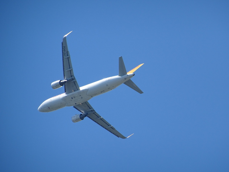travel, wing, clear sky, passenger machine, airliner, aerospace industry, airline travel, plane, motion, mode of transportation, day, nature, copy space