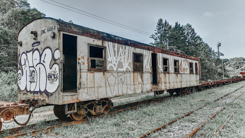 graffiti, locomotive, machine, railway, freight car, train - vehicle, public transportation, road, vehicle, no people, track, 4K, rust, nature, rail transportation