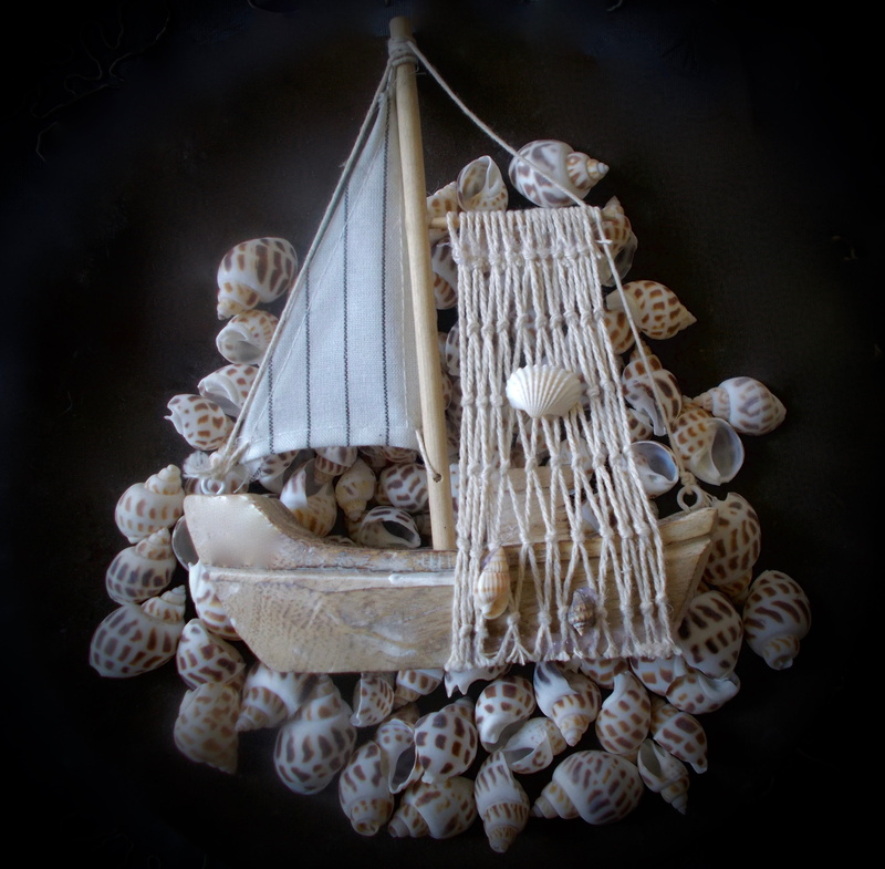 animal shell, marine, underwater, studio shot, no people, driftwood, shell, sea life, Sailing Vessel, ship, hanging, maritime, Fishing Net, seashell, close-up