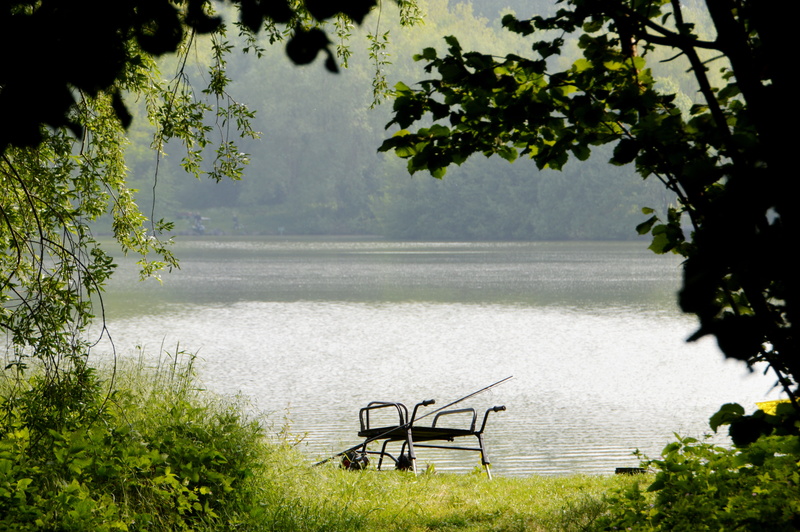 tree, lake, absence, park, fishing cap, empty, day, grass, water, outdoors, carp fishing, artificial lures, hobby, hobbies, fly fishing, 5K, fishing rods