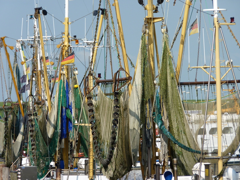 4K, clear sky, masts, boot, fishing nets, building exterior, mast, outdoors, water, maritime, sailboat, cutter, sunlight, transportation, ship, architecture