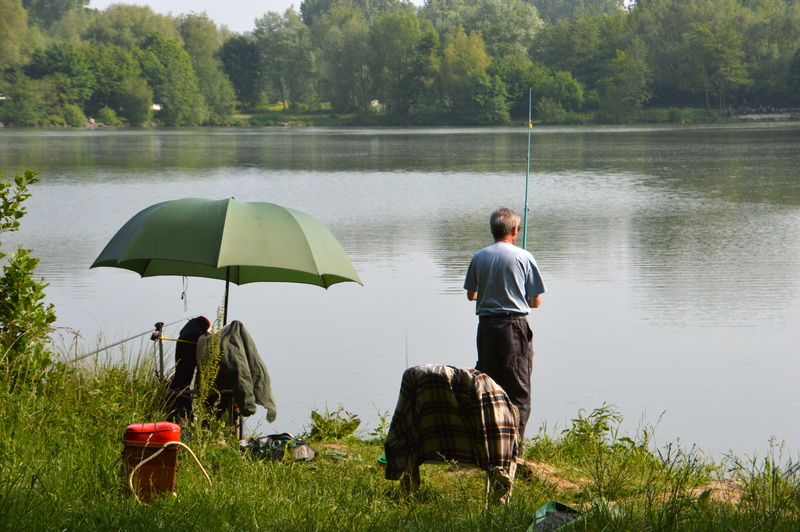 water, pike, fly fishing, trout fishing, tree, fishing for pike, beauty in nature, entertainment, boot, fishing cap, carp fishing, plant, day, fisherman