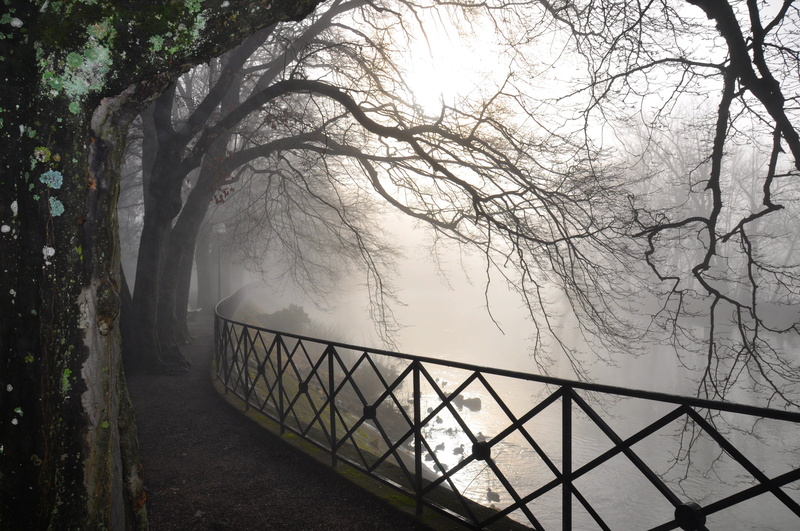 mystery, gloomy, branch, bridge, winter, outdoors, landscape, season, weather, the way forward, tree, branches, sunlight, beauty In Nature, transportation