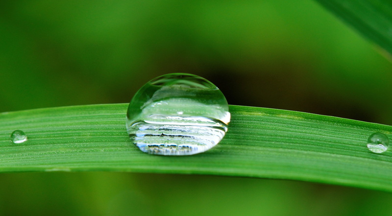 outdoors, plant, reflection, wet, blade of grass, beauty in nature, 2K, sphere, rainy, nature, fall, leaf, plant part, green color, raining, damp, natura