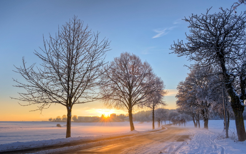 field, Winter, Trees, Dawn, Snow, Sunrise, Road, Germany, Landscape, snowy, 1080P