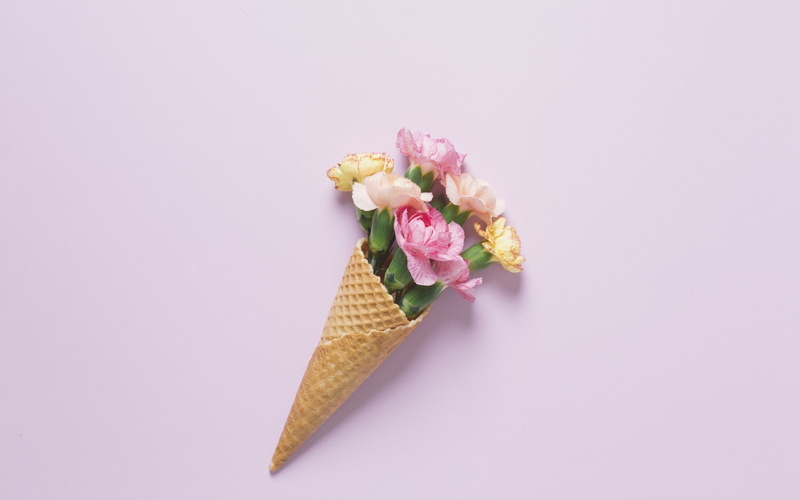720P, card, cornet, pink, flower, Have a lovely day!