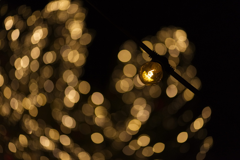 defocused, illuminated, spotlight, tree, lightbulb, night, electricity, flare, pattern, blasen, glitter, lighting equipment, sunlight, lens flare, lighting