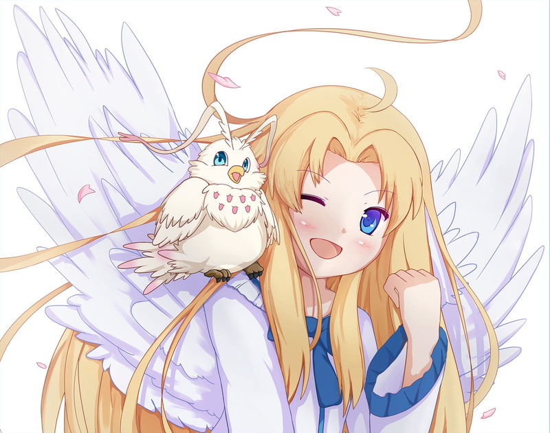 Anime, Wings, Blue Eyes, The Rising of the Shield Hero, 1080P, Bird, Filo (The Rising of The Shield Hero), Blonde
