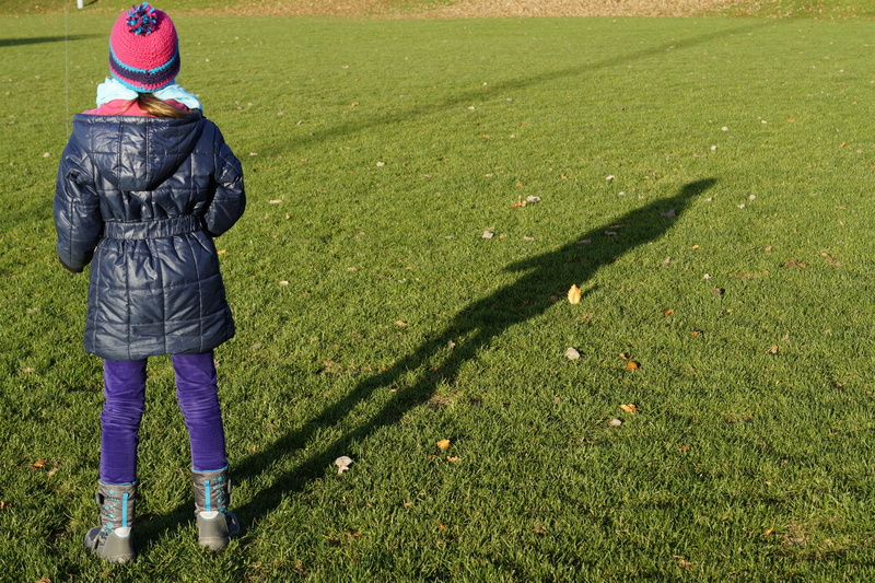 girl, kites rise, day, sunny, toys, field, lifestyles, shadow, people, kite flying, kids dragon, sun, dragons, dragon rising, play, plant, green color