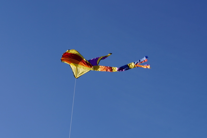 top, child, windy, children, kites rise, colorful, mid-air, sunny, no people, dragon rising, day, kite flying, outdoors, dragons, animal, animal body part