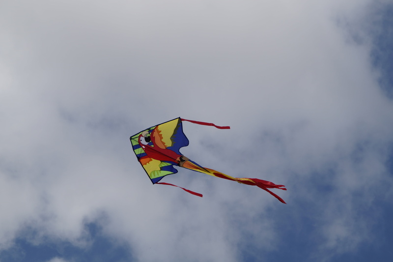 colorful, flying, toys, wind, sky, flag, day, kites rise, blue, nature, kite - toy, low angle view, fly, child, herbstwind, sport, multi colored, freedom