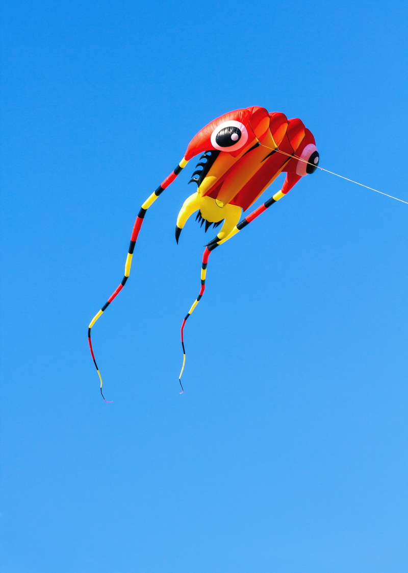 inflatable, representation, dragon festival, toy, dragons, hanover, hobby, animal representation, outdoors, wind, rise, pleasure, windy, dragon rising