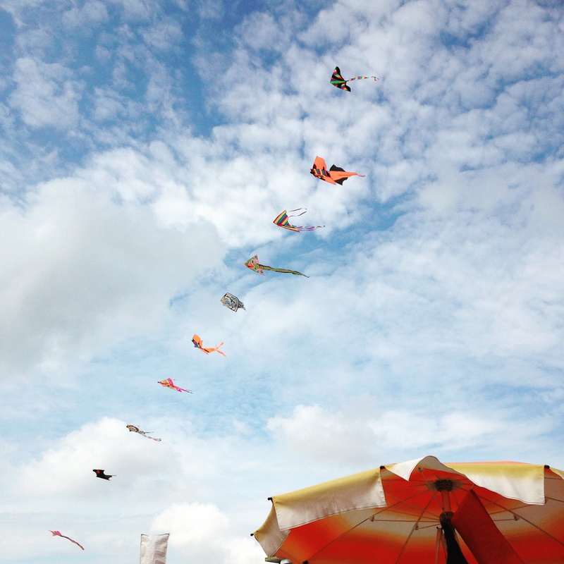 vertebrate, animal, summer, kids dragon, motion, air cloud, animal themes, hanging, blue, flying, mid-air, kite - toy, Sky, Dragon Rising, Wind, multi colored