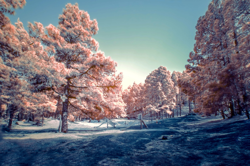 park - Man Made Space, bright, landscape, christmas, sunset, weather, color, outdoors, beauty In Nature, scenics, sunlight, teal, digital, rural Scene