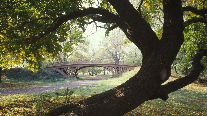 nyc, nature and landscapes, tree, 1080P, light pole, bridge, park, central, path