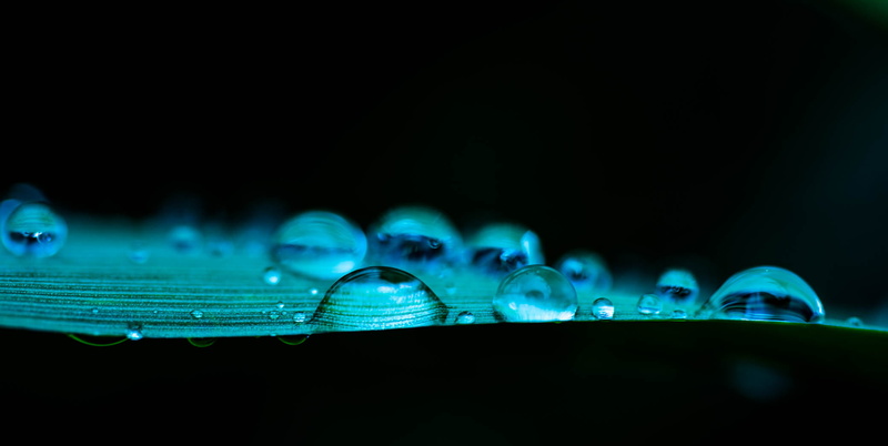 outside, droplets, closeup, nature, water droplets, macro, végétal, Pure, artistic, water, nikon  d610, photo, detail, 1080P, goutte, reflex, 105mm